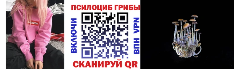 Псилоцибиновые грибы прущие грибы  Выкса 